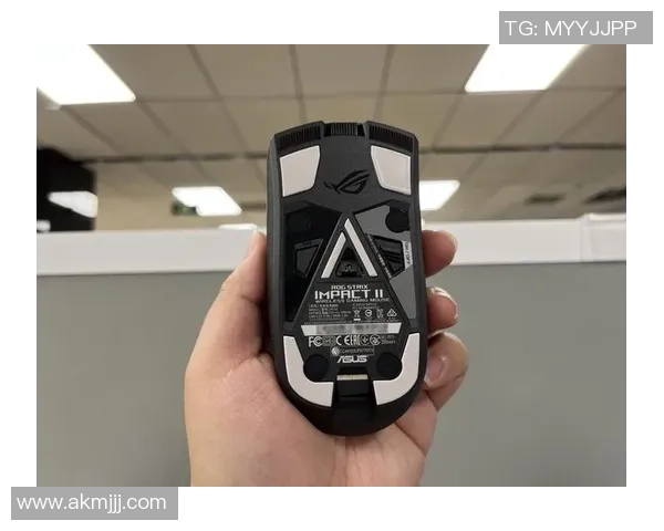 典藏版开箱体验信仰充电时刻探秘游戏周边魅力与价值