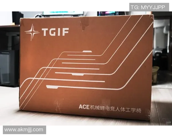 电竞椅的设计与人体工学结合如何提升游戏体验与健康保障