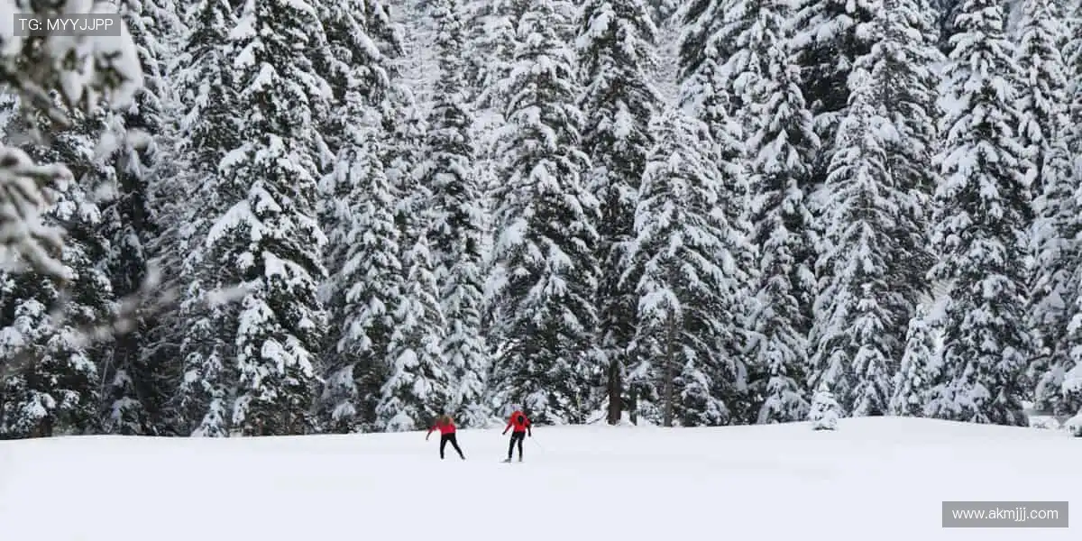 🚀 一键订阅，精彩赛事永不缺席！🔔